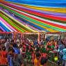 Colors of Life Feb 2026